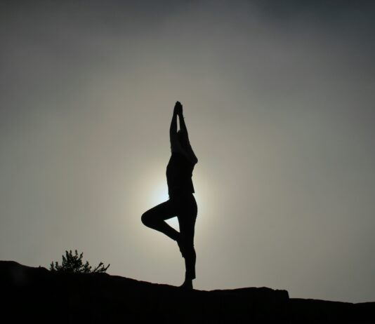 건강한 다이어트와 운동: 몸과 마음의 조화로운 통합