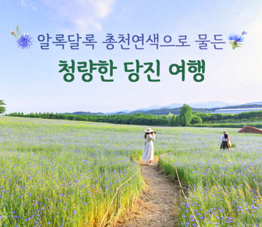 알록달록 총천연색으로 물든 청량한 당진 여행