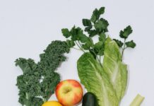 적절한 영양 섭취로 여행후 회복돕기 flat lay photography of vegetables