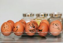 “다이어트 중인데 폭식이 반복돼요”… 뇌가 원하는 ‘안정’ 먼저 주세요 orange and white egg on stainless steel rack