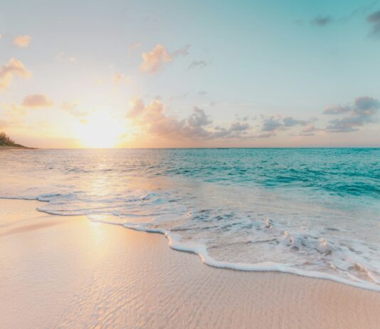 초여름, 건강을 챙기는 방법 seashore during golden hour