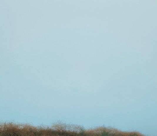 꾸준한 자기돌봄으로 지키는 일상 속 정신건강의 중요성 woman lying on road