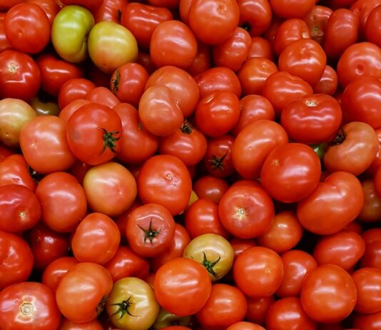 바쁜 일상 속 지키는 여성 건강, 생활 속 작은 변화가 답이다 red and green tomato fruit