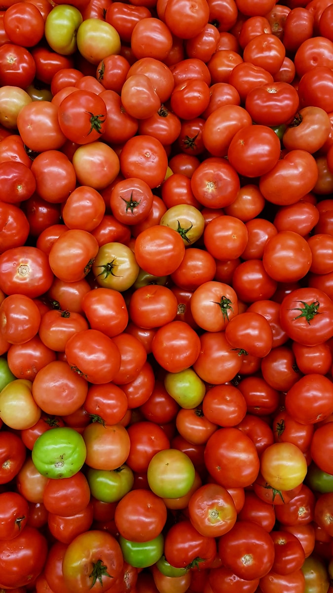 Photo by Rodrigo dos Reis red and green tomato fruit